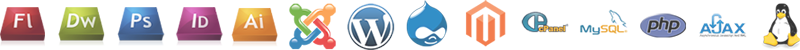 #1 Web Designing Development and SEO Training Institute in Amritsar